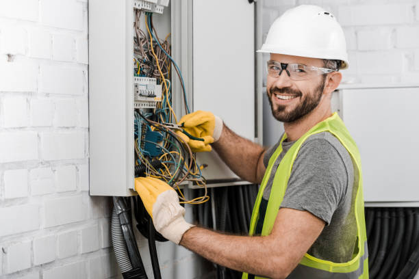 Best Electrical System Inspection  in Centrevle, IL