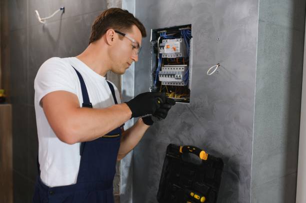 Best Licensed Electrician  in Centrevle, IL